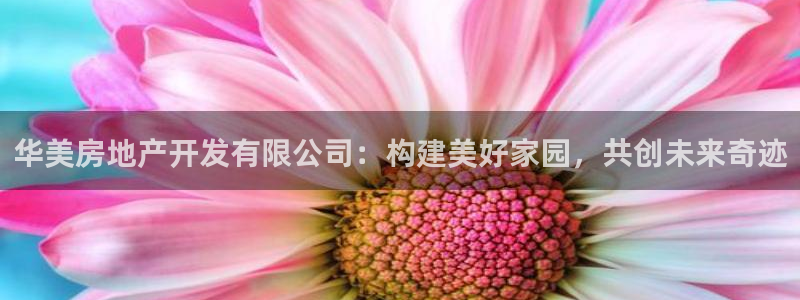 万向娱乐平台代理