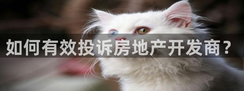 万向娱乐登陆官网入口