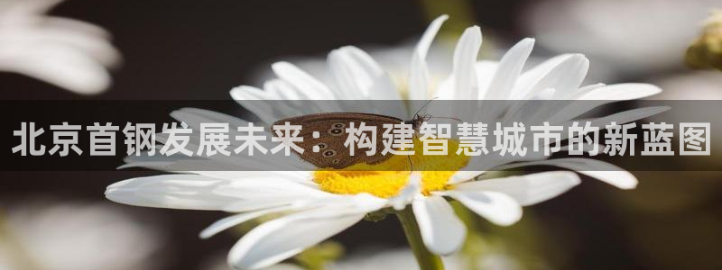 万向娱乐平台代理