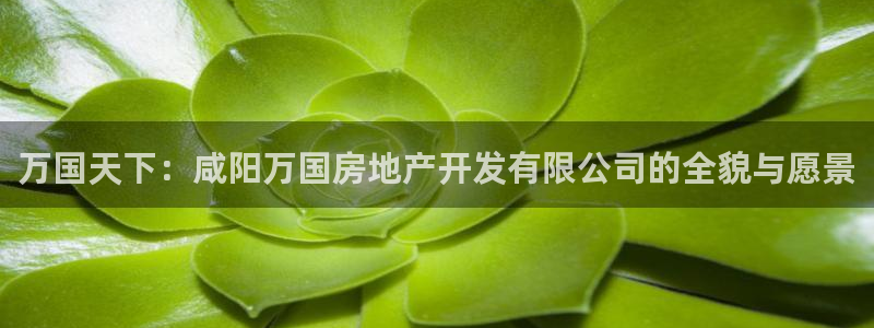 万向娱乐登陆