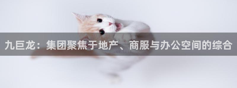 万向娱乐平台代理多少钱一年
